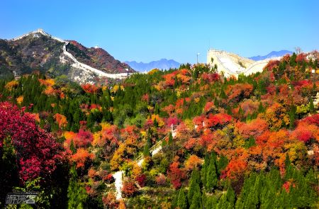 【零錢(qián)旅游】不帶錢(qián)包游北京精品純玩雙飛5天