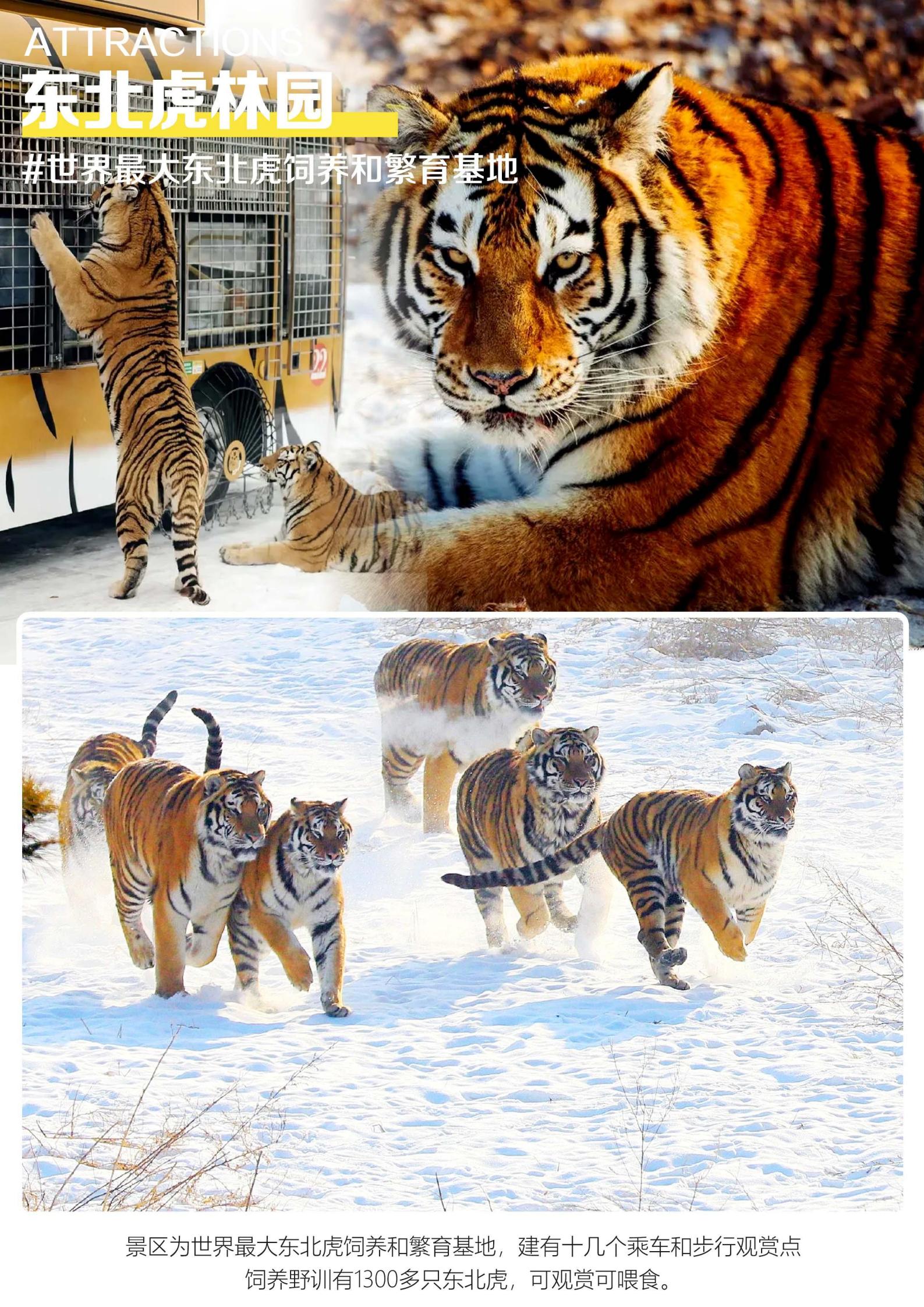 玩轉雪鄉-哈亞雪五天-當地五星-_01.jpg