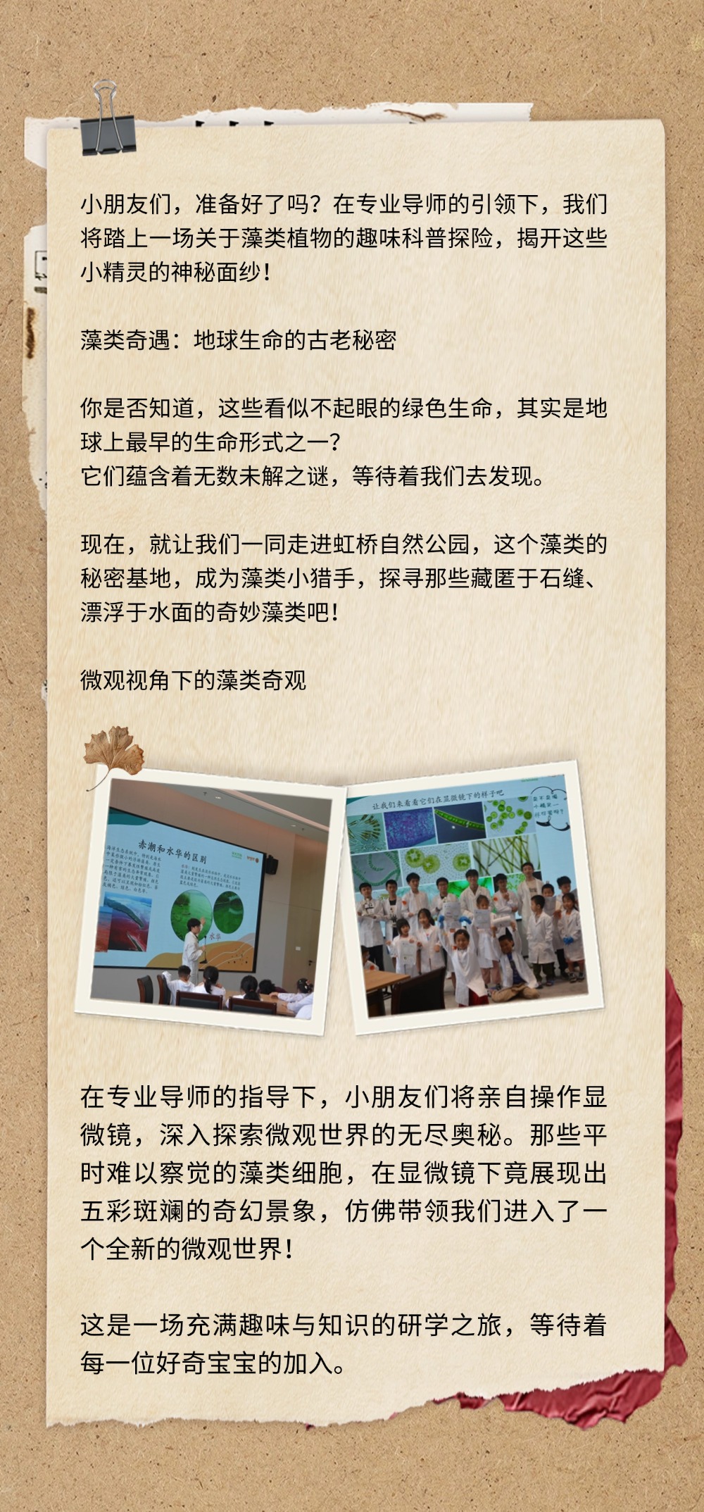 稿定設計-4.jpg