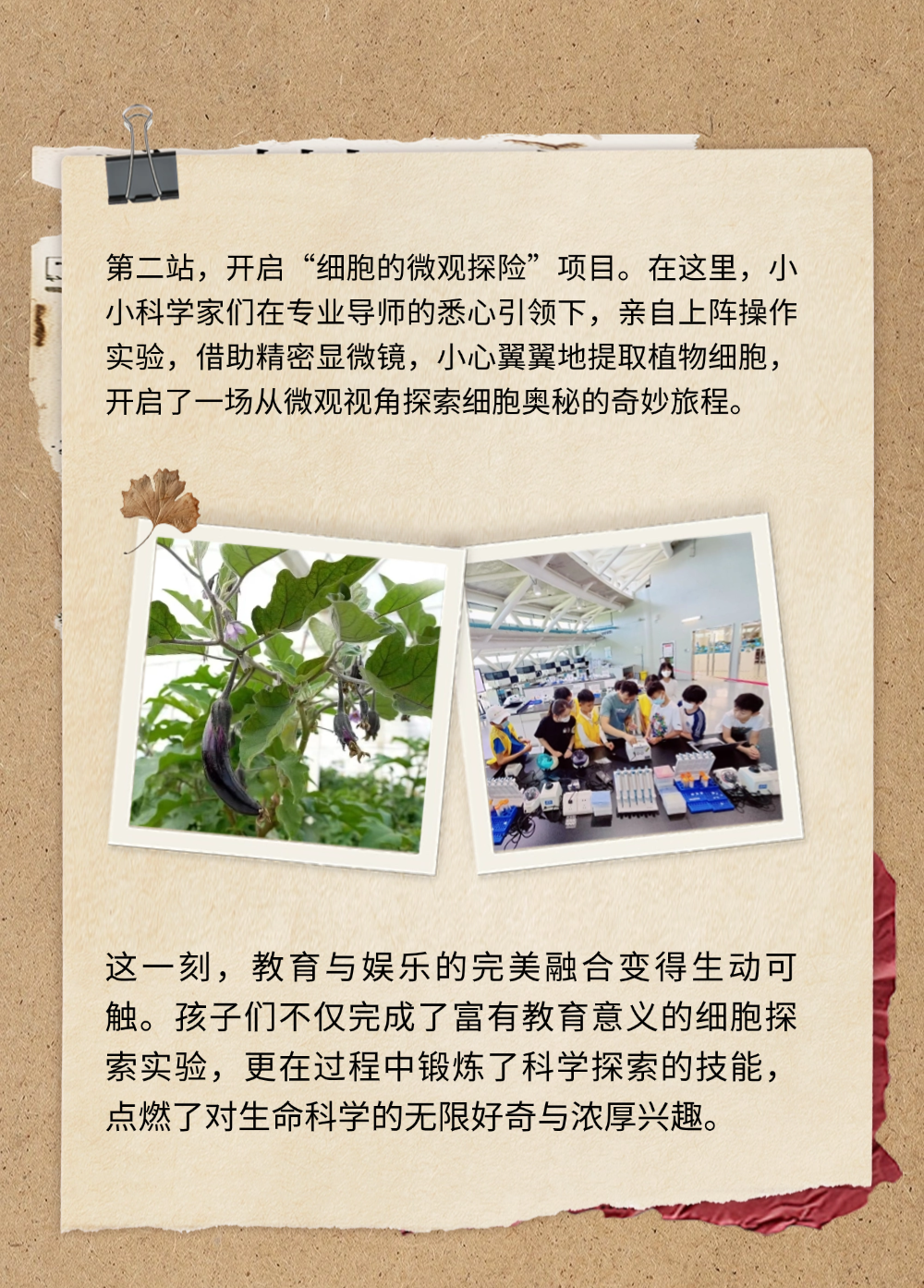 稿定設計-5.png
